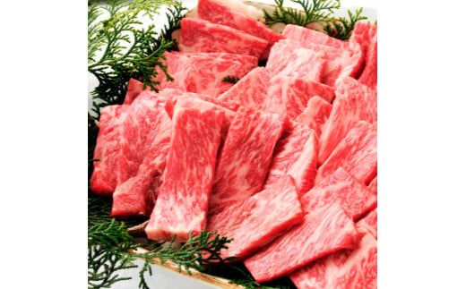 ～四国一小さなまち～ 焼肉用500g（500g×1パック）500グラム 焼き肉 やきにく 牛 牛肉 肉 お肉 赤身 和牛 土佐和牛 土佐黒牛 国産 おいしい バーベキュー 豪華 贅沢 お取り寄せ