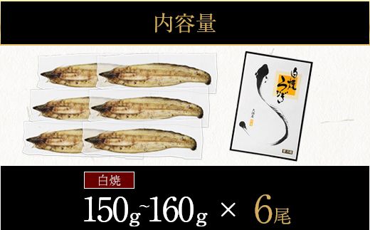 鹿児島県大隅産　千歳鰻の白焼鰻　6尾【CH154】