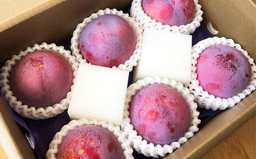 【2025年発送分 先行予約】貴陽（3L－5L）6-7玉　すもも プラム 李 スモモ 山梨 果物 くだもの 山梨 やまなし フルーツ 産地直送 富士川町