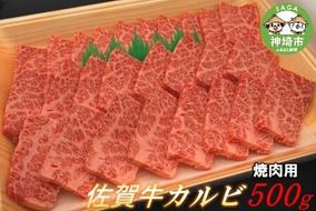 【佐賀牛】カルビ焼肉用500g 【グルメ プレゼント ギフト 肉 牛肉 ブランド牛 国産 和牛】(H081107)