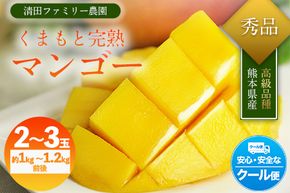 くまもと完熟マンゴー 2～3玉(約1kg～1.2kg前後) 熊本県玉名郡玉東町『清田ファミリー農園』マンゴー 完熟 秀品【日付指定不可】《5月下旬-8月末頃出荷》---sg_ckmango_cf58_r8_27000_1200g---