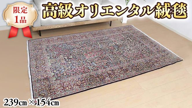 限定1品】 ペルシャ絨毯 ウール 手織り ラグマット カーペット／ 高級 ...