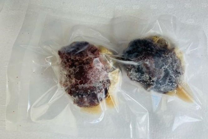 酒市の贅沢セイコガニの子宝盛　2個入　SK00178