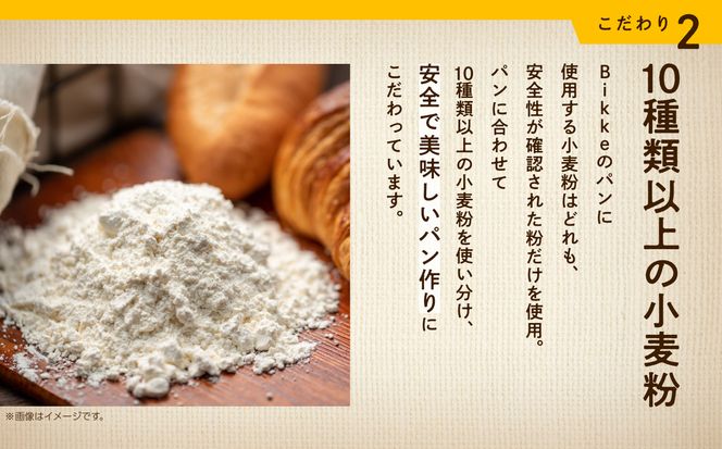 ナチュラルプレーンベーグル　10個セット 006021