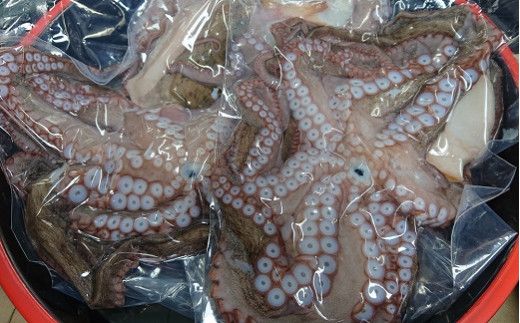 0C3-170 船上活締め！！生真ダコ 丸ごと（1～4匹）【下処理済】