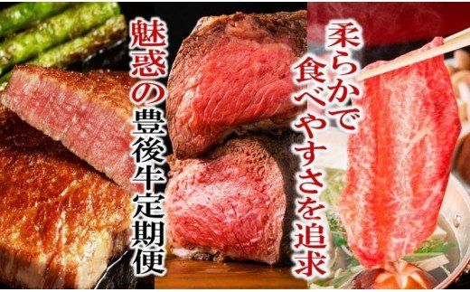 大人2名に最適!柔らかさっぱり豊後牛定期便/計3回発送_1224R