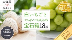 【 お歳暮 熨斗付 】 シャインマスカットと白いちごの 宝石箱 18粒【令和6年12月から発送開始】（県内共通返礼品：石岡市産） いちご 苺 イチゴ 白いちご 白イチゴ シャインマスカット マスカット 宝石箱 [BI376-NT]