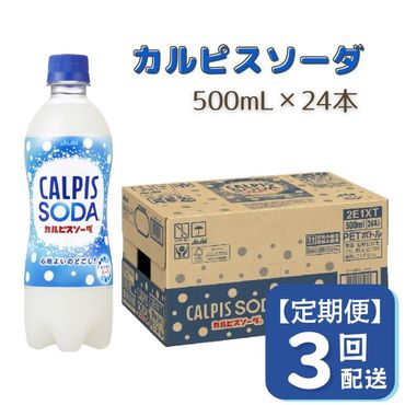 【定期便】カルピスソーダ（500mL×24本）〔3回配送〕039-002