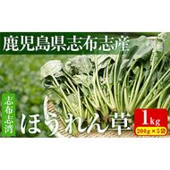 【数量限定】志布志湾ほうれん草(200g×5袋 合計1kg) a1-032