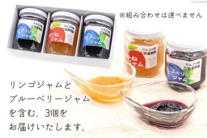フルーツジャム 140g×3個 セット [三谷果樹園 北海道 砂川市 12260531] フルーツ 果物 りんごジャム ブルーベリージャム 国産 小分け 小瓶