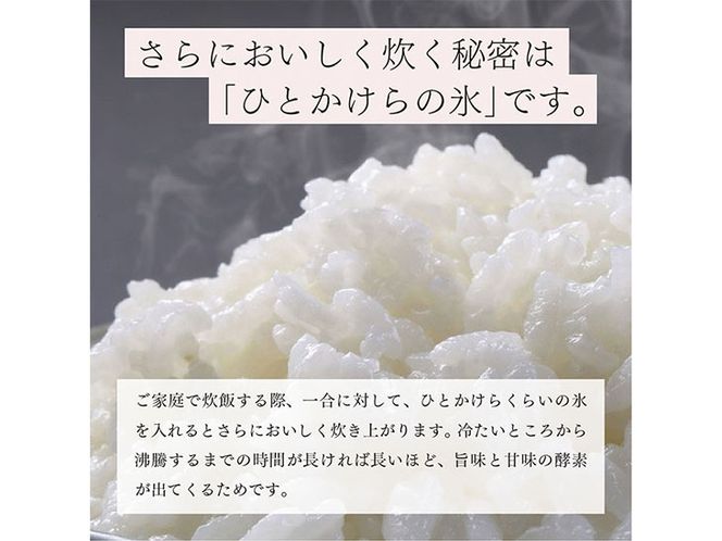 栃木県コシヒカリ 「桜花爛漫」 玄米 5kg 【ご飯 お米 コメ コシヒカリ 栃木県産 さくら市産】 ※北海道・沖縄・離島への配送不可 ※着日指定不可◇