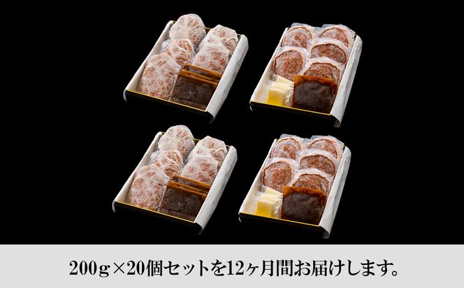 定期便12カ月 お楽しみ 白老牛 2種 食べ比べ ハンバーグ セット 合計20個 モッツァレラ ベーコン 網脂 特製ソース 手造り BY111