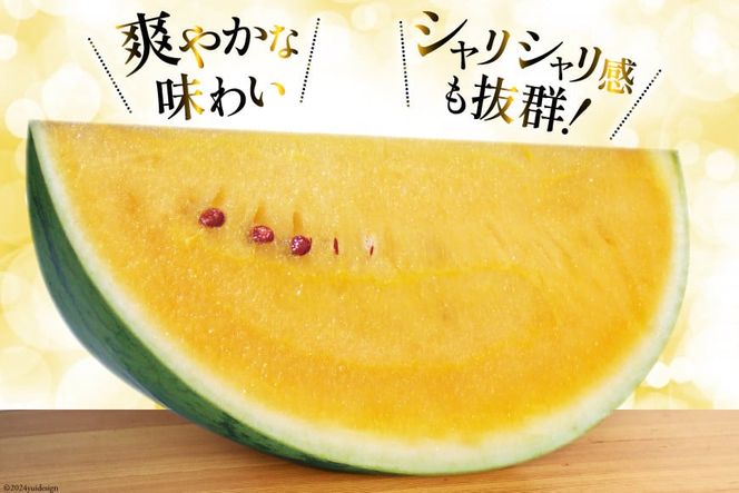 【CF01】BG075【令和8年度出荷分】幻のゴールデンスイカ！～金色羅皇（ラオウ）～（7～12kg） [先行予約 数量限定 すいか スイカ 西瓜 フルーツ 果物 長崎 長崎県 島原市]