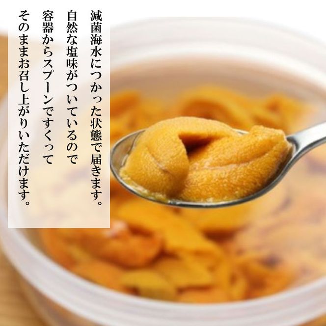 【期間限定】 水揚げ24時間以内発送 綾里の生うに 150g 数量限定 冷蔵 ミョウバン不使用 岩手県産 ムラサキウニ [ 季節限定 生うに 生雲丹 天然 海鮮丼 寿司 ウニ丼 刺身 ] [ryorigyo001_4]