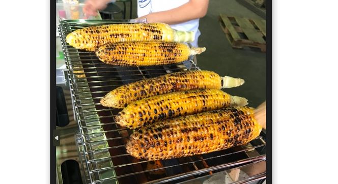 【2026年発送】朝採り直送 メロンより甘い 生とうもろこし“にっこりコーン” 10本　H095-026