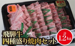 AB-53　A5飛騨牛　四種盛り焼肉セット計1.2㎏