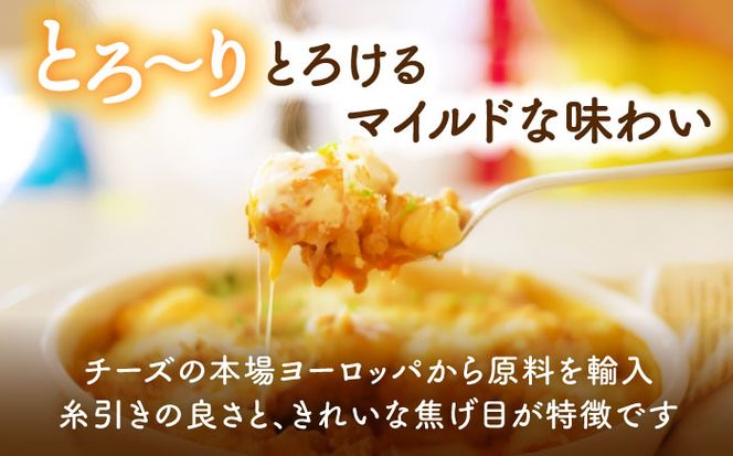 ミックスチーズセット 300g×5袋 計1.5kg チーズ モッツァレラ ゴーダ 愛西市 / 株式会社ヨシダコーポレーション [AEAA001]