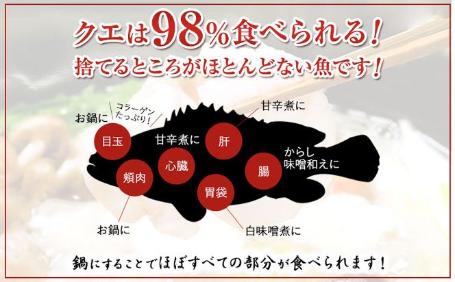 産地直送 クエ鍋セット 2人前 (1セット) 岬旅館《90日以内に出荷(土日祝除く)》 和歌山県 日高町 クエ 魚 鍋 セット---wsh_cmskke_90d_22_40000_1p---