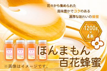 ほんまもん百花蜂蜜 1200g×4本 計4800g 村上養蜂《90日以内に出荷予定(土日祝除く)》和歌山県 紀の川市---wsk_murayhh4_90d_21_59000_4800g---