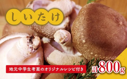 yOdszy1-281znwlẴIWiVstIؐƊZbgyOdYz