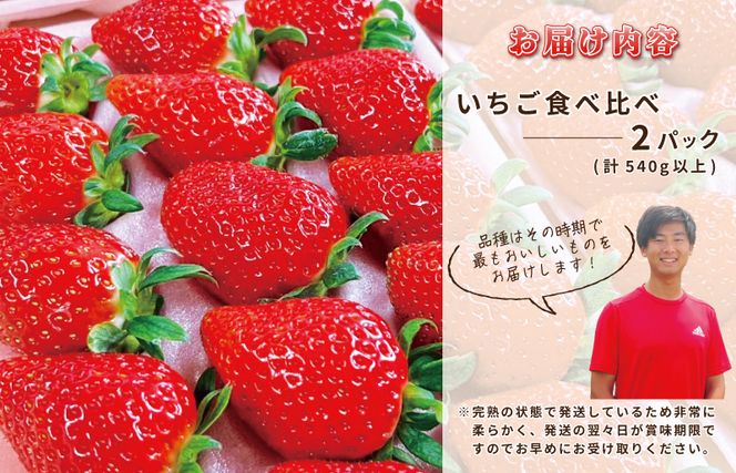 G1218 【先行予約】完熟新鮮 いちご 食べ比べ 2パック 合計540g以上