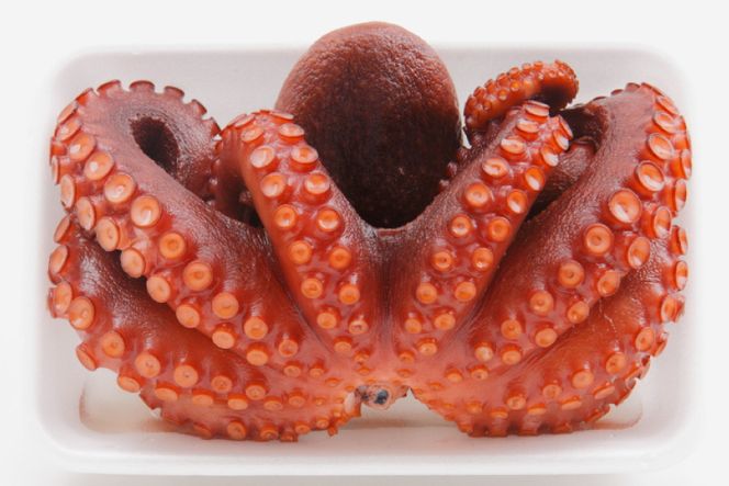 ボイルタコ 500g ×2p 総計1kg [さんりくみらい 宮城県 気仙沼市