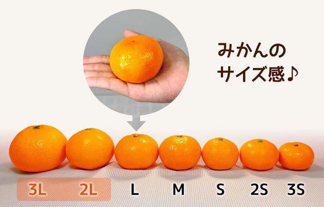 熟成みかん 大玉 どっこいしょ 秀品2Lサイズ以上 5kg( 内容量 4.4kg