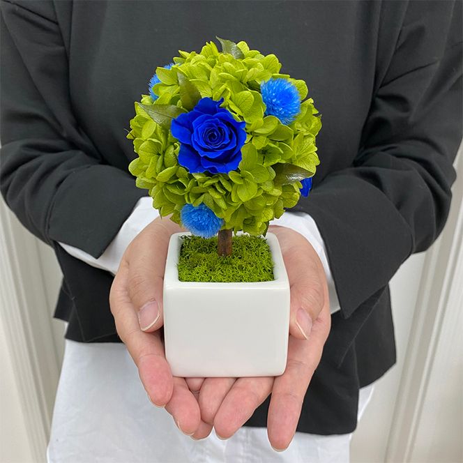 AJ186-1 プリザーブドフラワー【プティシュシュ/ブルー】春日部市 シュガーパイン