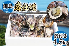 【期間限定発送】岩牡蠣 殻付き 細島 岩ガキ 約4.5kg [道の駅日向 宮崎県 日向市 452060571] いわがき 岩がき 牡蠣 日豊海岸 濃厚 クリーミー