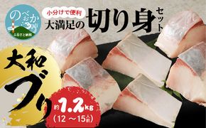 【大和海商】大和ブリの切り身たっぷりセット 約1.2kg N072-YA842