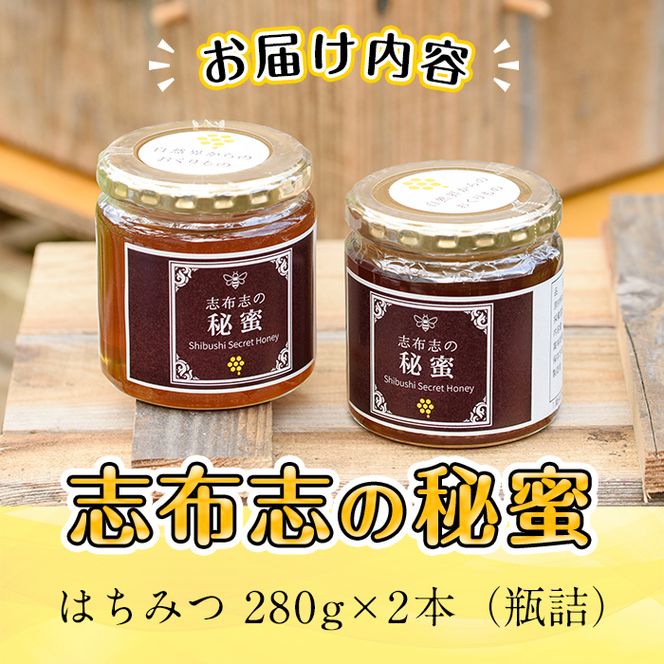 日本みつばちの純粋蜂蜜＜志布志の秘蜜＞計560g(280g×2本) b2-003