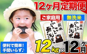 【12ヶ月定期便】無洗米 訳あり 熊本ふるさと無洗米 12kg《お申込み月の翌月から出荷開始》 熊本県産 無洗米 12kg 精米 御船町 計12回お届け 10kg 以上 米 コメ 6kg×2袋 無洗米 ヒノヒカリ 使用 訳あり おこめ お米 熊本 ふるさと無洗米---fmstei_140000_12kg_mo12num1---