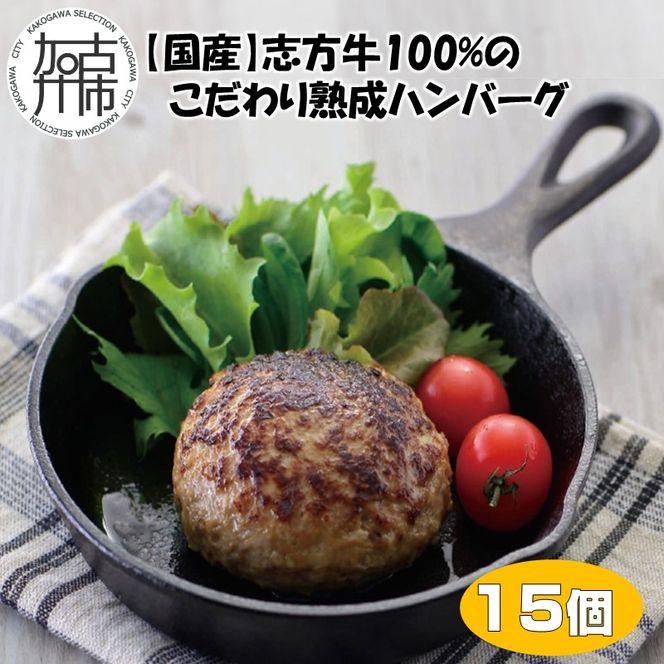 【国産】志方牛100%のこだわり熟成ハンバーグ150g×15個