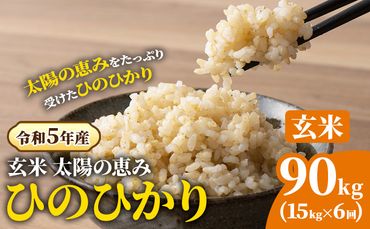 【令和5年産】玄米 岡山県産 ひのひかり 笠岡産 90kg(15kg×6回)《30日以内に出荷予定(土日祝除く)》 農事組合法人奥山営農組合 太陽の恵み O-2_10k---O-02_90k_g---