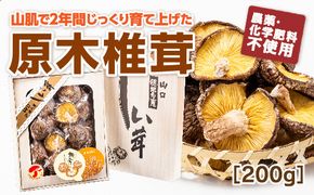 D103 山口徳地産原木栽培乾しいたけ200g