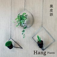 GRAVIRoN Hang Plants シリーズ Triangle/Diamond/Round セット 黒皮鉄（プランツハンガー） 観葉植物 プランター