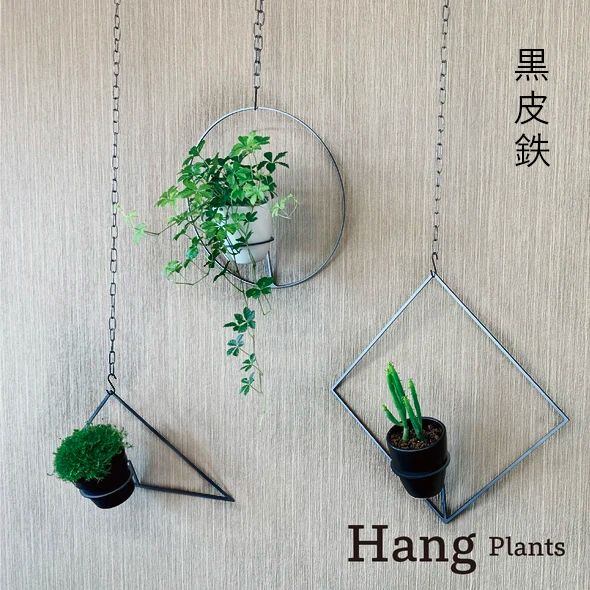 GRAVIRoN Hang Plants シリーズ Triangle/Diamond/Round セット 黒皮鉄（プランツハンガー）