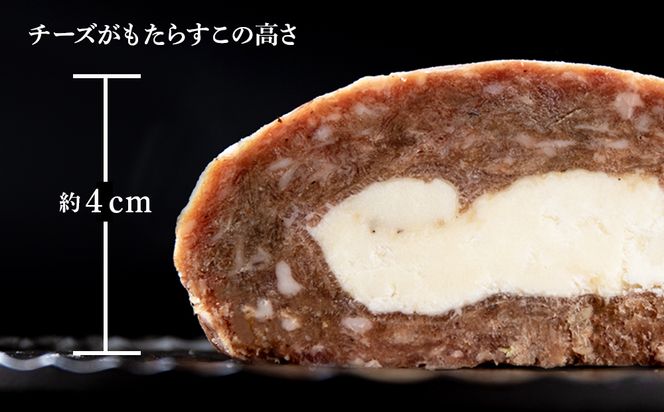 定期便12ヵ月 お楽しみ 北海道産 白老牛 カマンベールチーズハンバーグ 5個セット 冷凍 チーズ イン ハンバーグ BY114