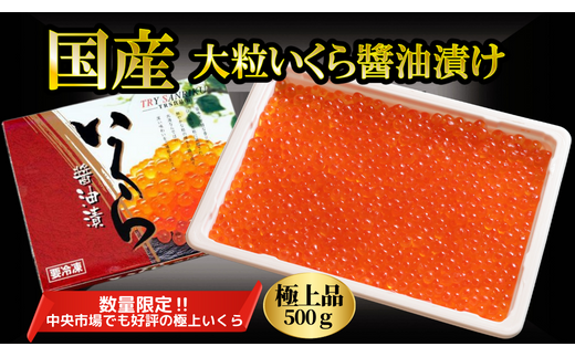 [2025年11月より発送]大粒いくら 醤油漬 500g [0tsuchi00633]