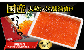 【2025年11月より発送】大粒いくら 醤油漬 500g  [0tsuchi00633]