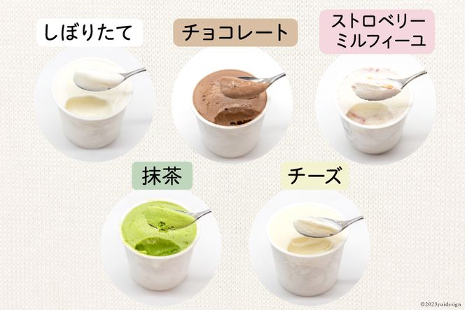 【牧場直送】 アイス 120ml ×5種 計5個 食べ比べ [岩瀬牧場 北海道 砂川市 12260519] ジェラート アイスクリーム スイーツ デザート スウィーツ おやつ