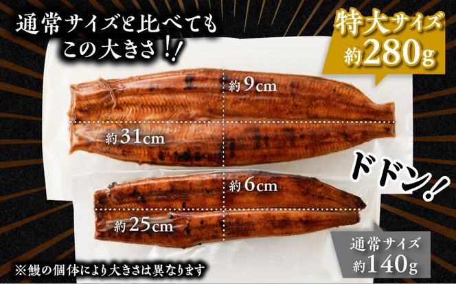 薩摩大とろ鰻蒲焼特大サイズ一尾　K190-002