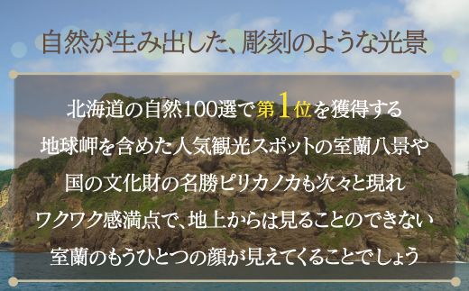 室蘭地球岬遊覧クルーズチケット 大人1名様 MROX005