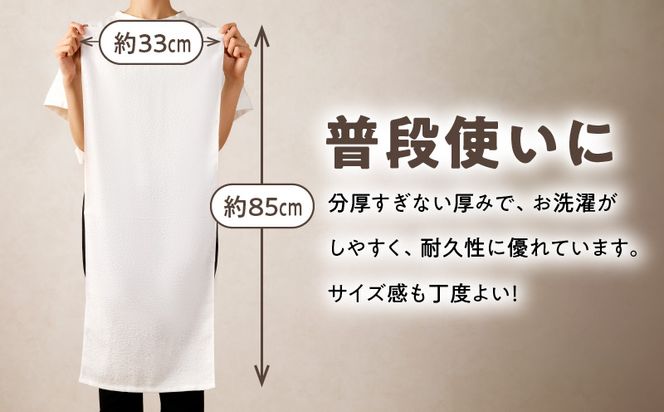 G1541 ナチュレル 泉州フェイスタオル10枚（ホワイト系）限定セット