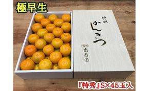 極早生 みかん 有田 化粧箱 特秀 S サイズ 45玉入 南泰園    BS606