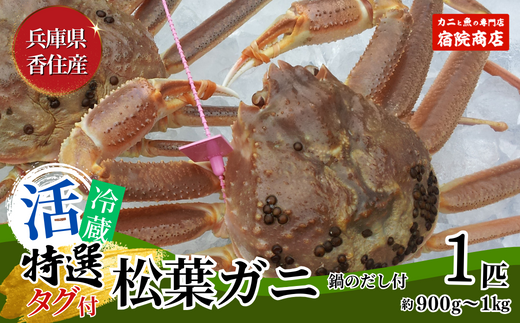 [特選 活 松葉ガニ 生 1匹(約900g〜1kg)冷蔵]11月中旬以降配送予定 水揚げの関係上、配達日の指定はできません 鍋 かにすき 脚 足 身 肩 香住 柴山 ズワイガニ 宿院商店 33-27