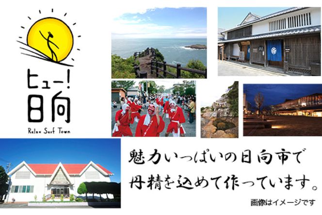 日本ハム 非常食 5年保存 防災食 ポークソーセージ ステーキ 110g×20個 [日本ハムマーケティング 宮崎県 日向市 452060936] おかず 防災 備え 長期保存 備蓄 保存食 防災 常温 キャンプ 携帯 ニッポンハム