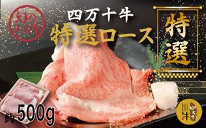 R5-974．幻のメス牛 四万十牛特選ローススライス（すき焼き・しゃぶしゃぶ用）約500ｇ