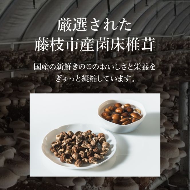 干し椎茸 計 200g 国産 しいたけ スライス パール椎茸 きのこ 椎茸 乾燥椎茸 小分け キノコ 調理 簡単 便利 一万円 10000円 静岡県 藤枝市 [PT0058-000002]