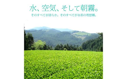 奥八女星野村 伝統本玉露 約50g×1袋 お茶 緑茶 茶葉 玉露 八女茶 飲料